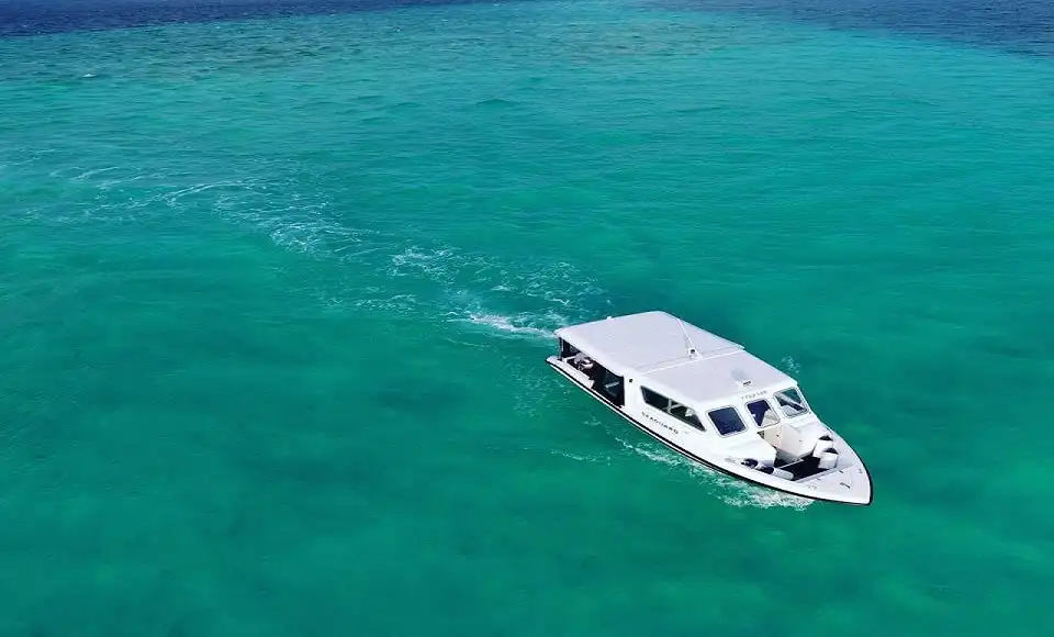 White Maldives speedboat travelling through clear turquoise water